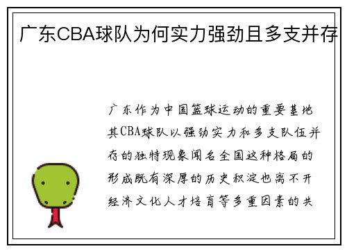 广东CBA球队为何实力强劲且多支并存