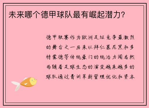 未来哪个德甲球队最有崛起潜力？